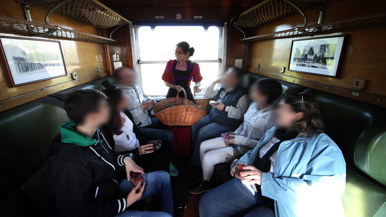 El Tren de la Fresa: disfruta de Aranjuez viajando en un tren de época 1 Tren de la Fresa