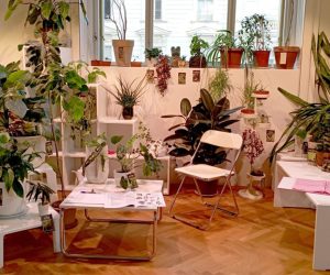 Refugio Climático del Círculo de Bellas Artes Guardería para plantas