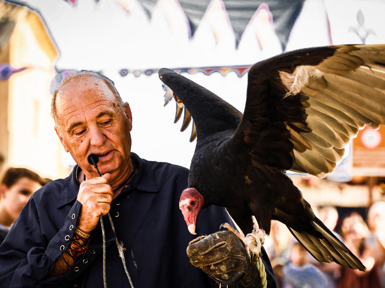 Gran Feria Medieval de El Álamo