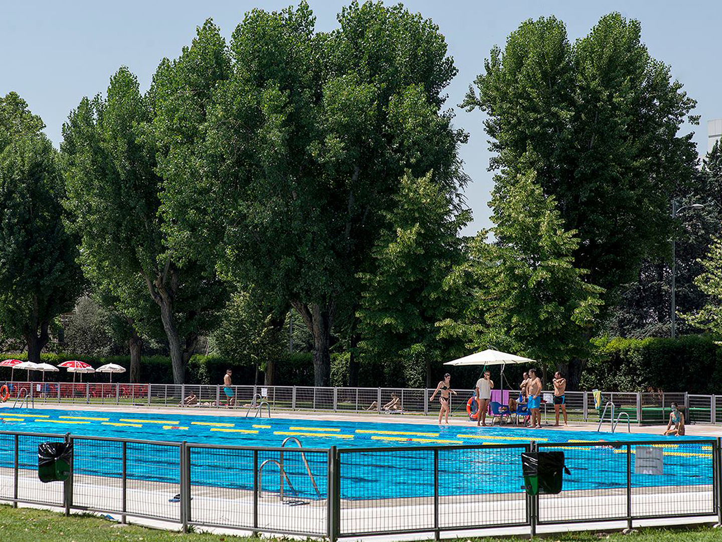 La piscina de verano de la Complutense 7