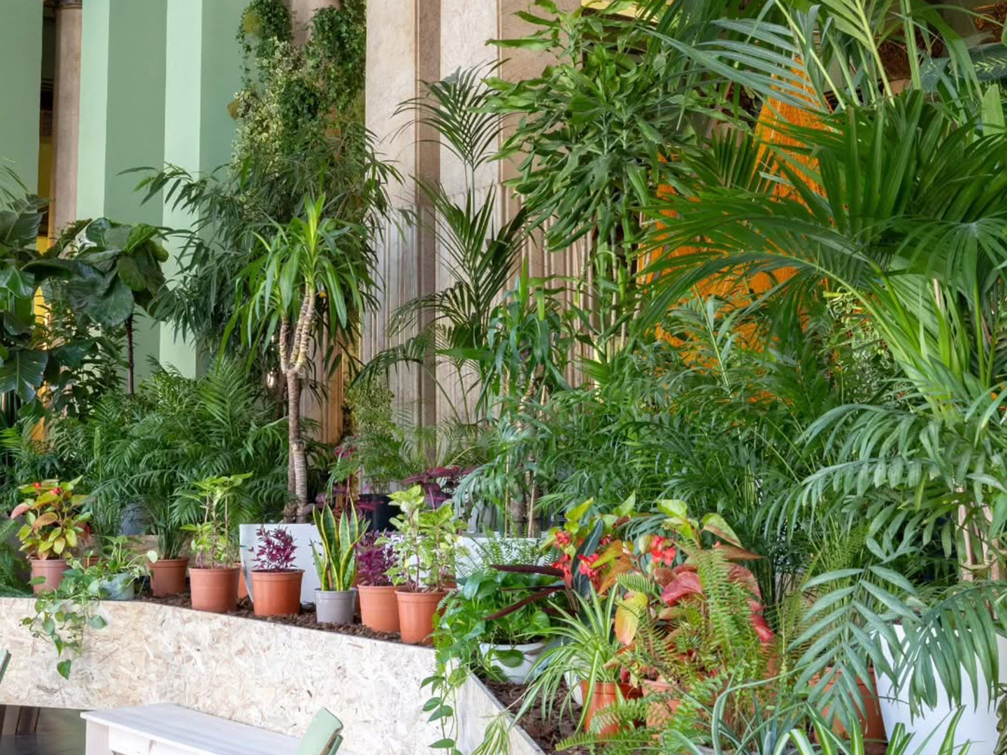 El Refugio Climático del Círculo de Bellas Artes este verano nos invita a jugar juntos y al fresco 3 Refugio climático del Círculo de Bellas Artes